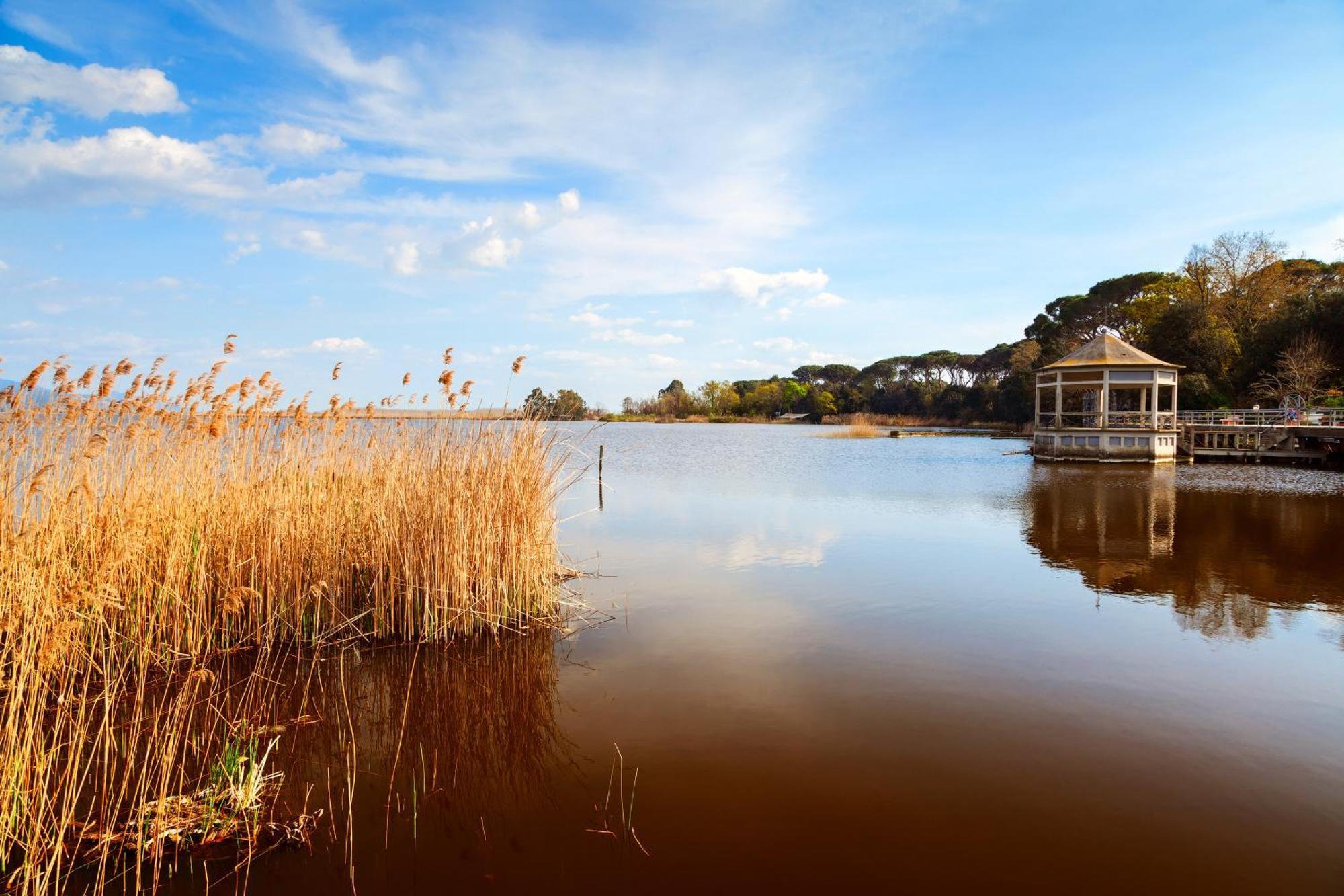 La Casa Nel Parco Διαμέρισμα Βιαρέτζιο Εξωτερικό φωτογραφία